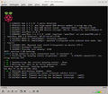 Raspberry pi mmc0 timeout waiting for hardware interrupt - cmd13 00.jpg
